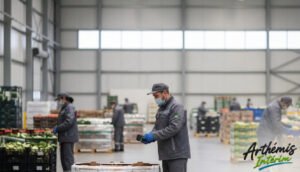 Lire la suite à propos de l’article Logistique Agroalimentaire : Impact des Équipes Roumaines